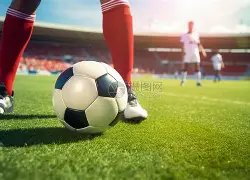 董子健挥动,手绢击中杨,录制视频致,立博体育官网,Ladbrokes,Sports,足球直播,篮球赛事,体育高清,NBA直播