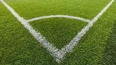 谢文骏勇夺米尔罗斯室内田径赛60米栏银牌