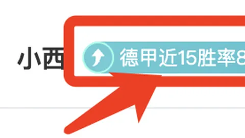 20250208亚冬会开幕式亮点：沙晓岚、隋文静表现卓越